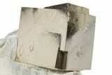 Large, Natural Pyrite Cube In Rock - Navajun, Spain #325105-1
